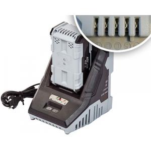 Batterij oplader type I